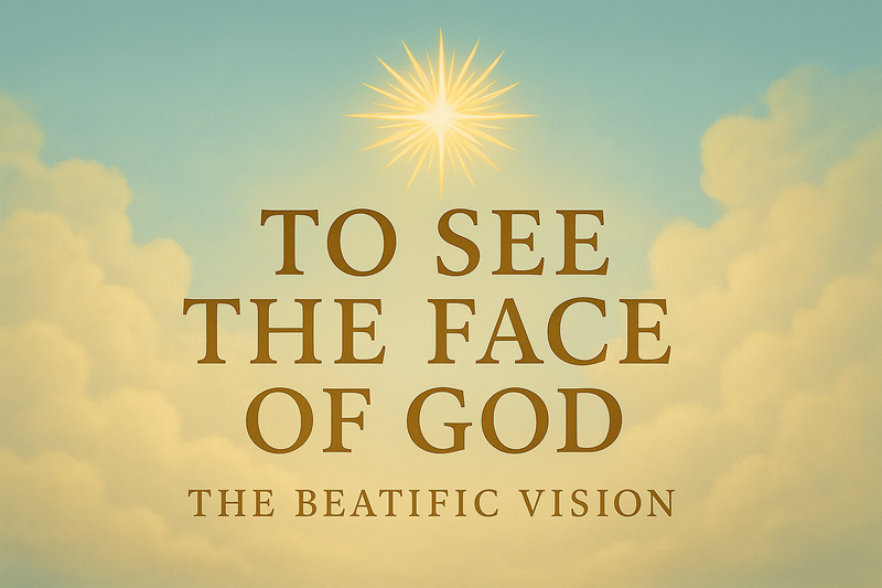 To See The Face Of God