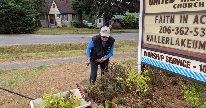 Grounds Clean up