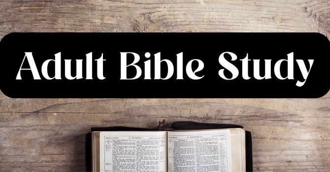 Adult Bible Study (Virtual)