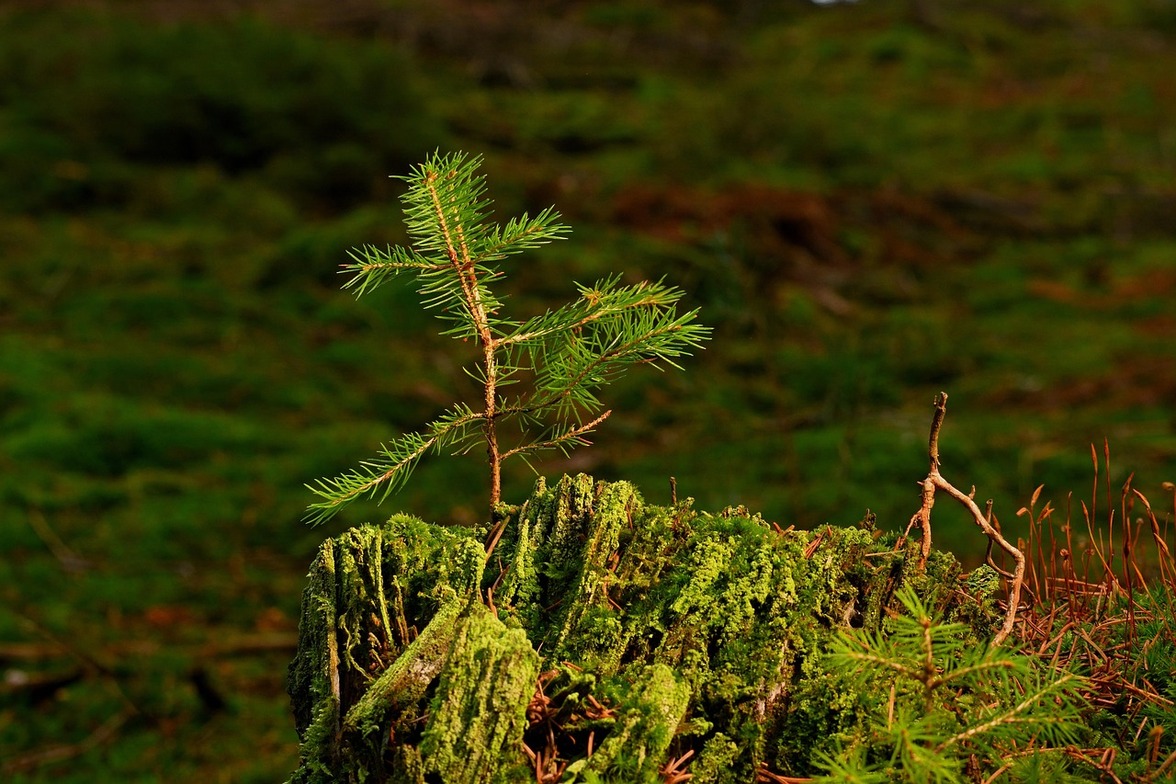 Slideshow image