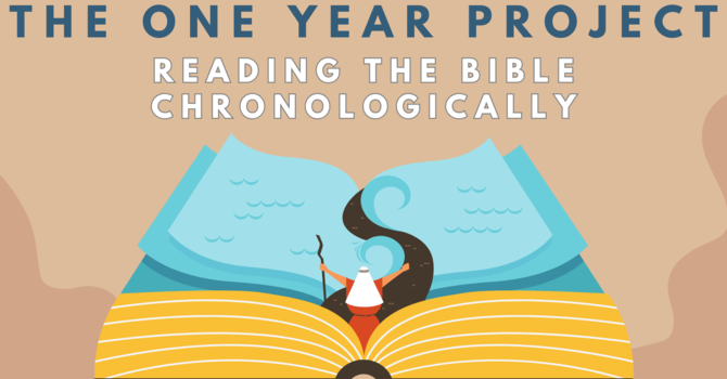 The One Year Project 