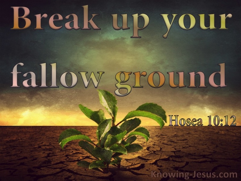 Breaking your up your Fallow Ground
