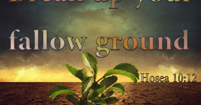 Breaking your up your Fallow Ground