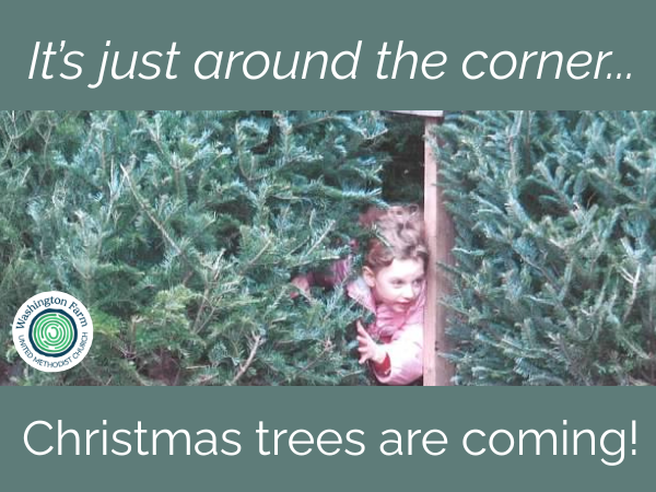 Let's Make The Season Bright One Tree At A Time