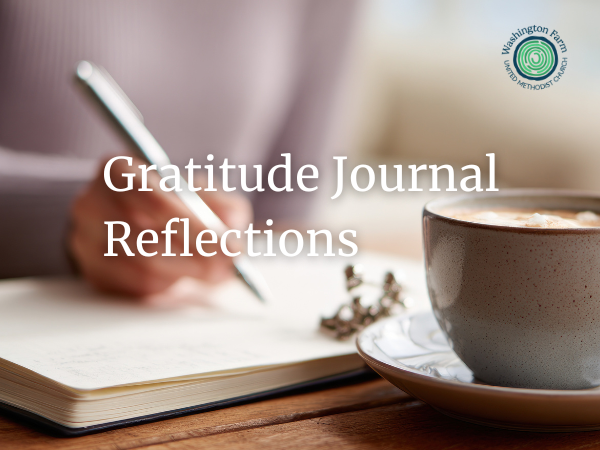 Gratitude Journal Reflections