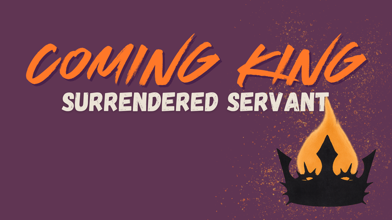 The Vineyard Church | The Coming King, The Surrendered Servant