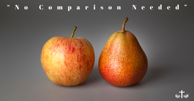 "No Comparison Needed" image