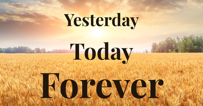 Weekly Newsletter image