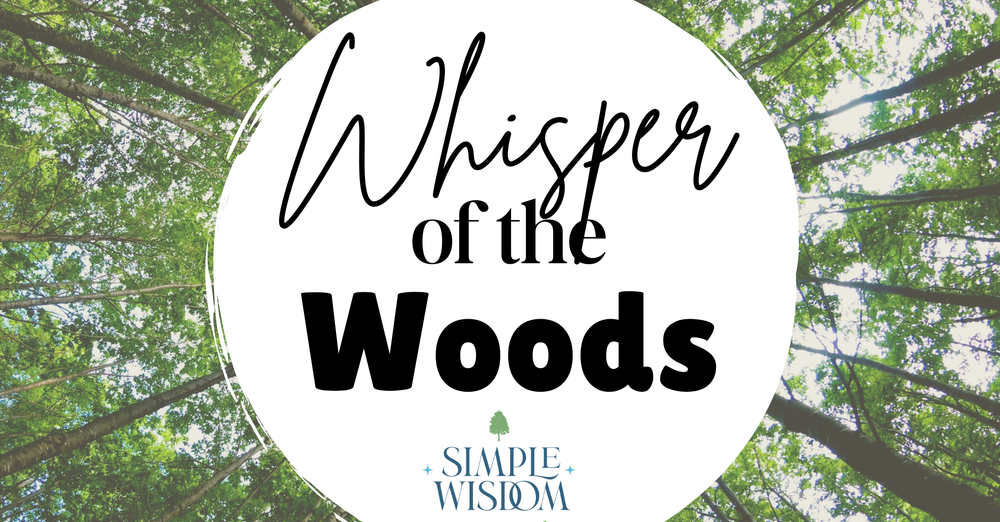 Whisper of the Woods