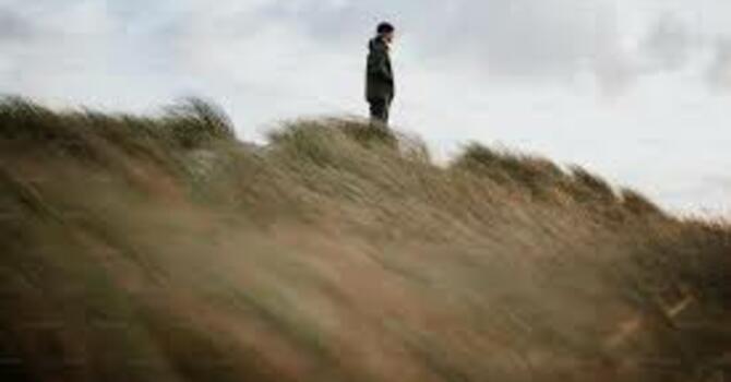 Wandering from the Truth image