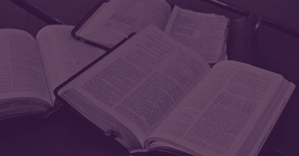 Purpose Sets The Path