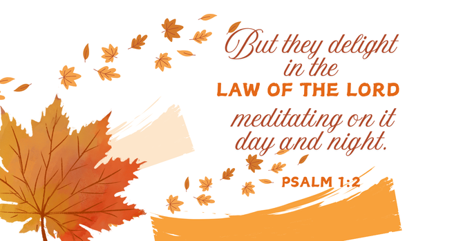 What Are You Delighting In?