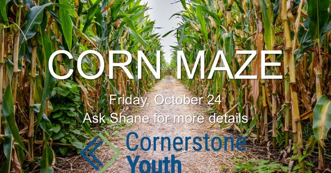 Corn Maze