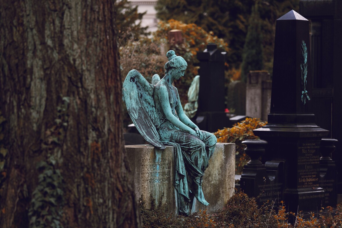 Slideshow image