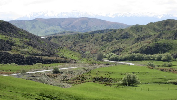 New Zealand Pilgrimage