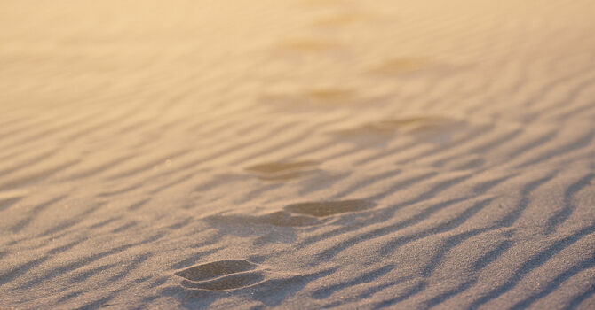 7:30 pm - (Nuevo) No Te Rindas y Avanza