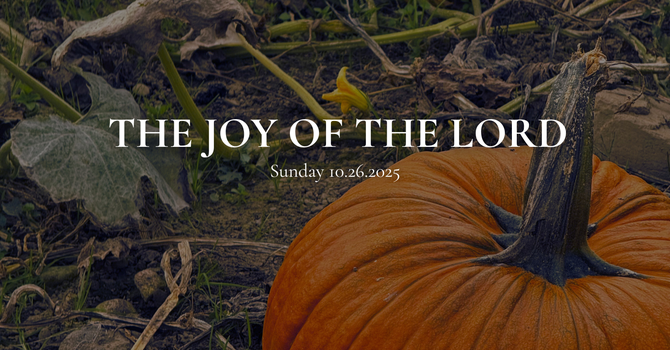 The Joy of the Lord image