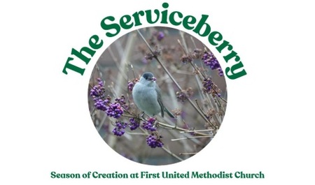 The Serviceberry (Season of Creation 2025)