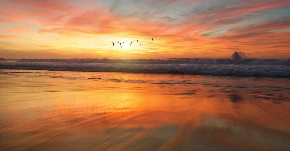 Alcoholics Anonymous