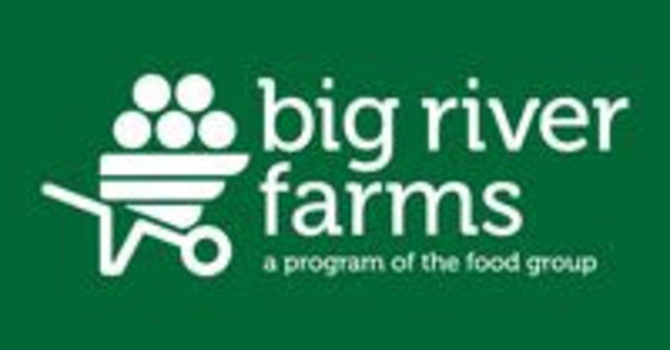 Volunteer on the Farm