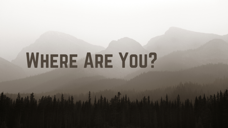 Where Are You?