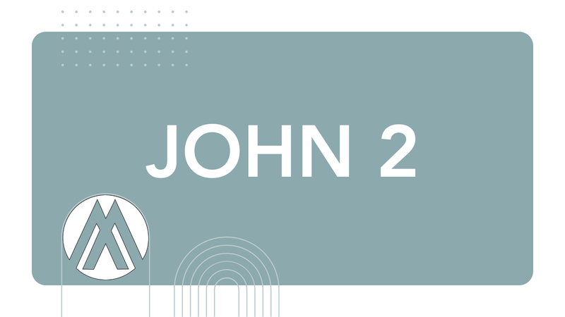 John Chapter 2