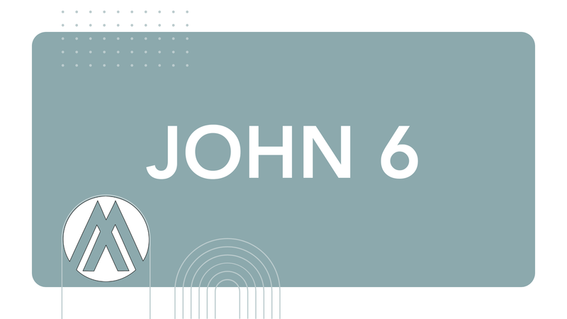 John Chapter 6