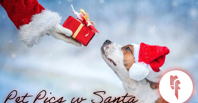 Pet Pics w Santa