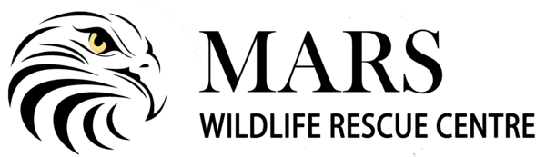 Outreach Focus for OCTOBER