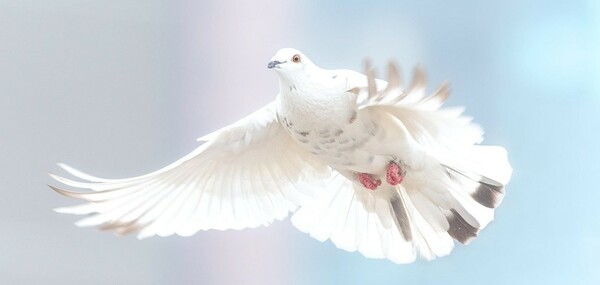 October 26 Worship Service