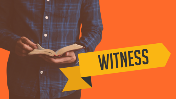 Witness