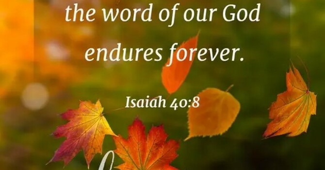 New for Oct 24, 2025