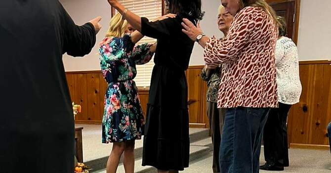 The Fig Tree  Jimmy Alexander