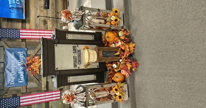 The Fig Tree  Jimmy Alexander