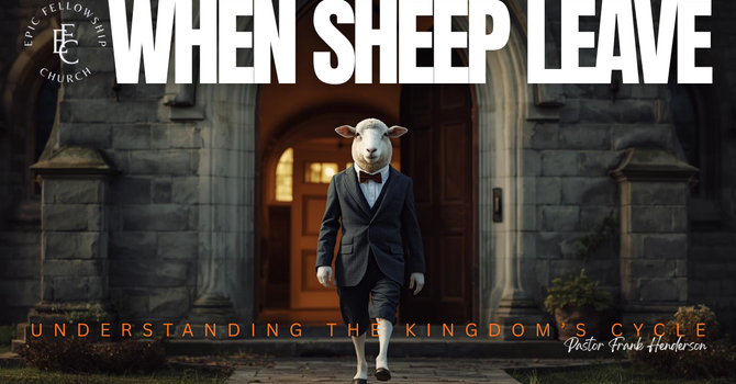 When Sheep Leave image