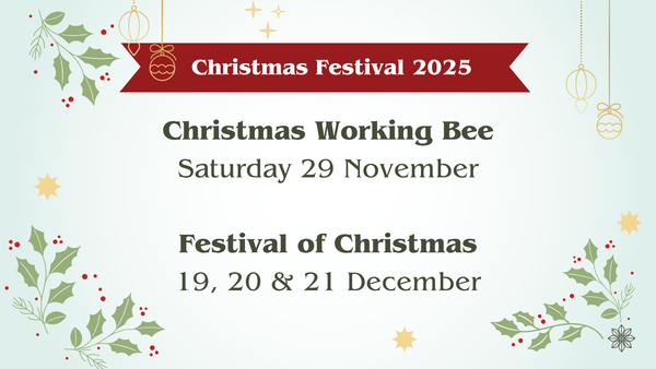 It's beginning to look a lot like Christmas!.....