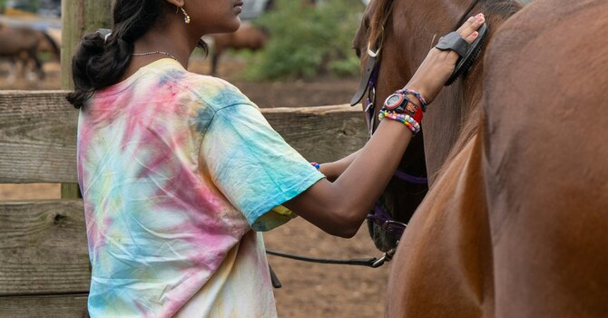 Healing with Horses: Transforming Through Trust image