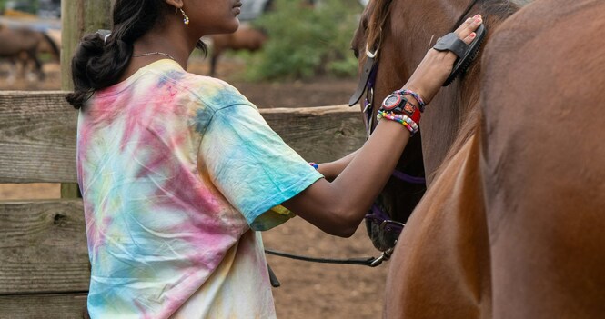 Healing with Horses: Transforming Through Trust