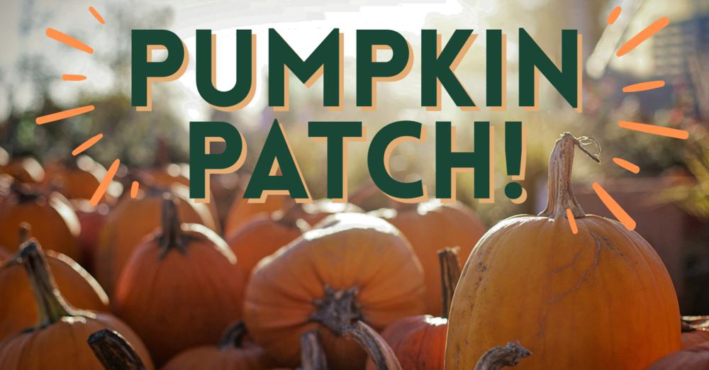 Pumpkin Patch!