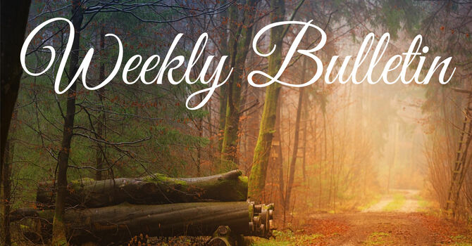 Bulletin for October 25 and 26, 2025