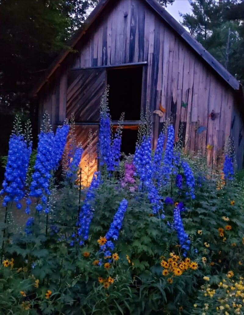 Let's Go Swimming In The Gratitude Pool!