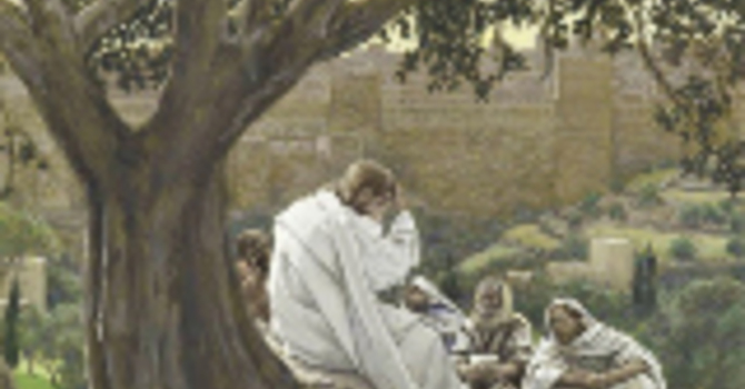 Twenty Third Sunday after Pentecost