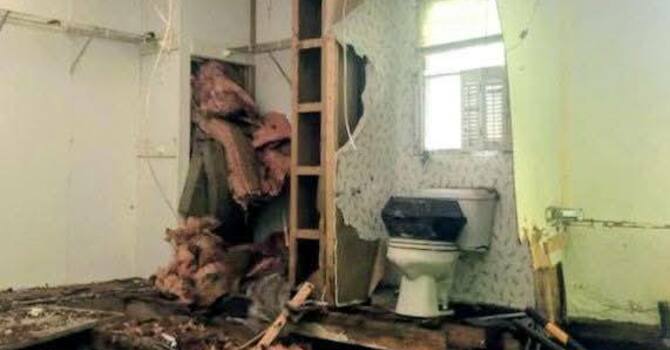 13 Months After Helene image