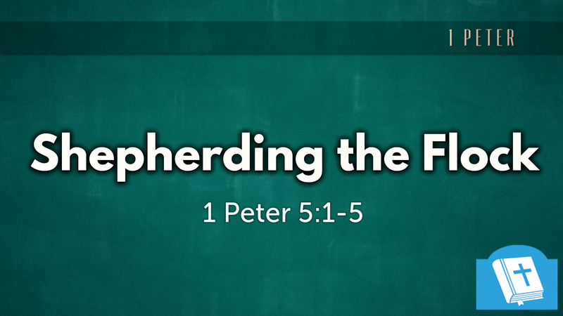 Shepherding the Flock