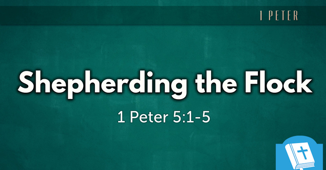Shepherding the Flock