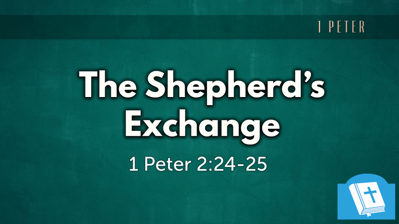 The Shepherd's Exchange