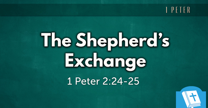 The Shepherd's Exchange