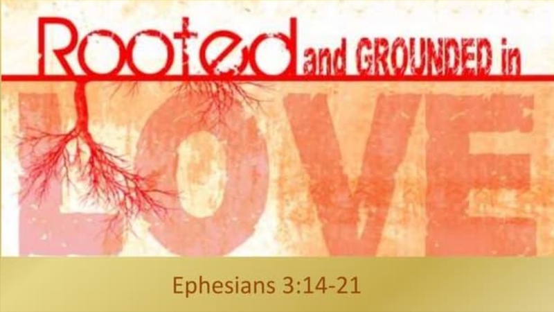 Rooted & Grounded in Love