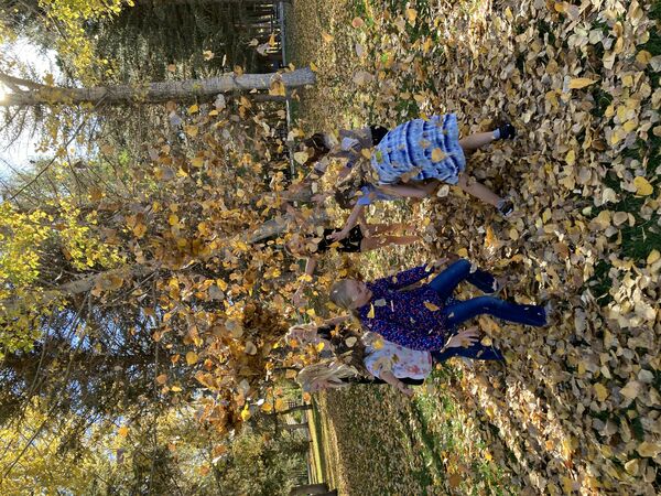 Weekly Update for the 20th Sunday After Pentecost