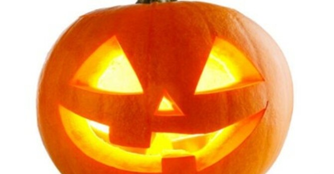 God's Garden for October 26, 2025